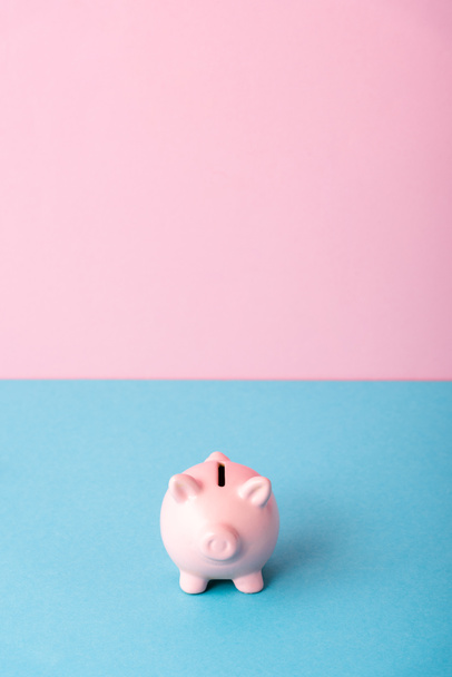 piggy bank isolated on pink and blue with copy space  - Valokuva, kuva