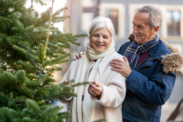 Couple de personnes âgées choisissant l'arbre de Noël au marché de Noël
 - Photo, image