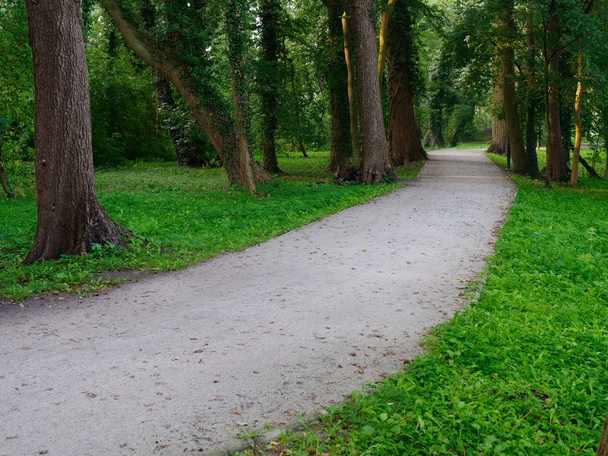Şehir yeşil parkı manzaralı patika. Wolsztyn, Polonya - Fotoğraf, Görsel