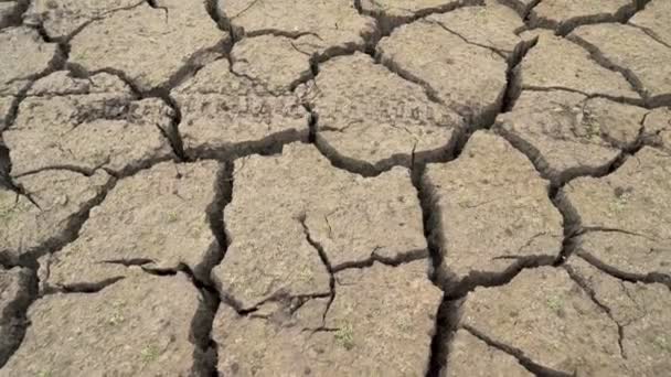 ブルガリアでの干ばつによって引き起こされる砕けた地球の底。ブルガリアのペルニク近郊のStudena dam - 映像、動画