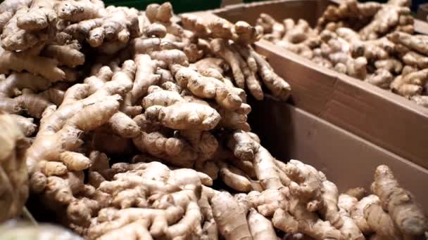 ginger root on the shelves of the market. on shelf of supermarket store - Footage, Video