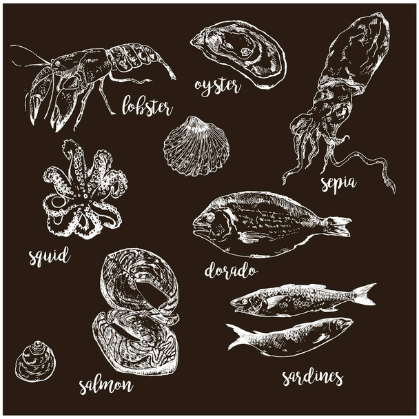 Риба та морська їжа рука намальована білою крейдою на дошці Векторні ілюстрації. Назви рибного та морського ринку продуктів харчування та меню ресторану або кафе. Ескіз рибних морепродуктів
. - Вектор, зображення