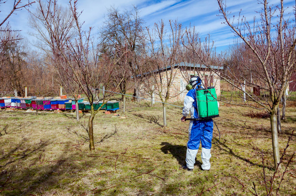 Tuinman draagt beschermende overall sprinkles fruitbomen met l - Foto, afbeelding