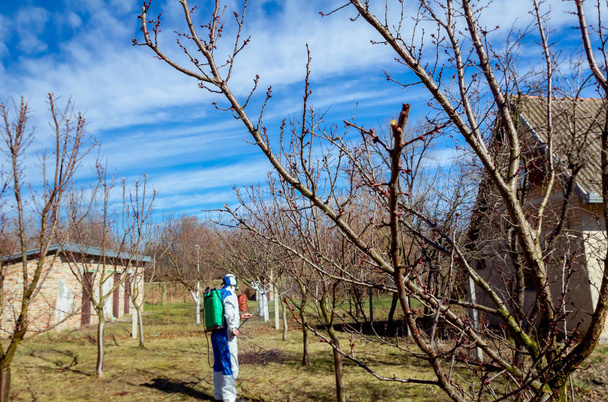 Gärtner mit Schutzanzug bestreut Obstbäume mit l - Foto, Bild