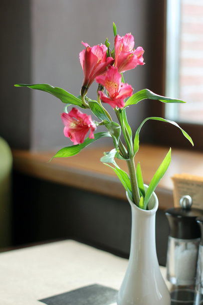 Delicatet pink flower in an elegant white vase - Photo, Image
