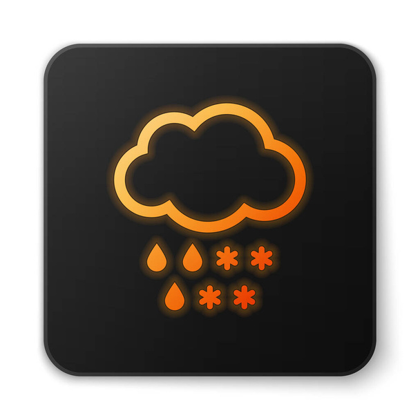 Orange glowing neon Cloud with snow and rain icon isolated on white background. Weather icon. Black square button. Vector Illustration - Vector, Image