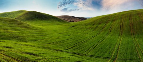 hilly field. agricultural field. beautiful hills - Photo, Image