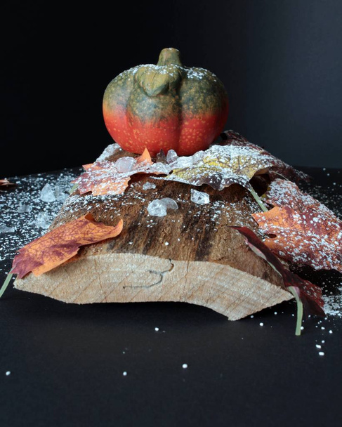 осінньо прикрашений гарбуз з осіннім листям, снігом і кристалами льоду
 - Фото, зображення