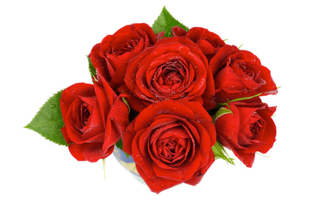 Red Roses - Zdjęcie, obraz