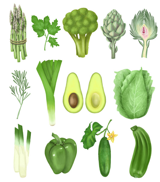 Collectionpf mão desenhado vegetais verdes (cacho de espargos, alcachofra, pepino, abacate, brócolis, pimentão e outros), ilustração isolada sobre um fundo branco
 - Foto, Imagem