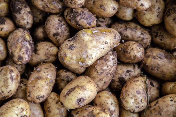 Οργανικό υπόβαθρο πατάτας - Φωτογραφία, εικόνα