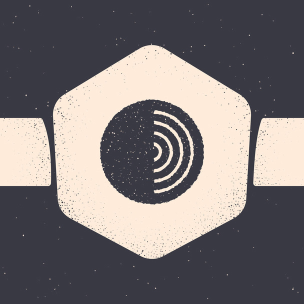 Grunge Föld szerkezete ikon elszigetelt szürke háttérrel. Geofizikai koncepció földmaggal és földrétegekkel. Monokróm vintage rajz. Vektorillusztráció - Vektor, kép