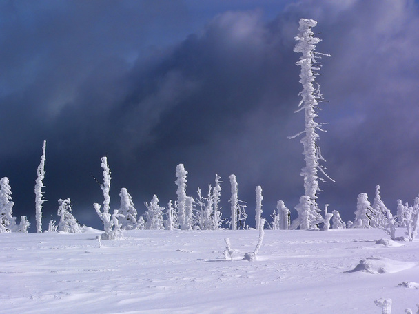 Kış düz - Fotoğraf, Görsel
