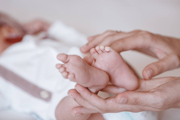 Newborn Baby's feet on female hands closeup. - Foto, Bild