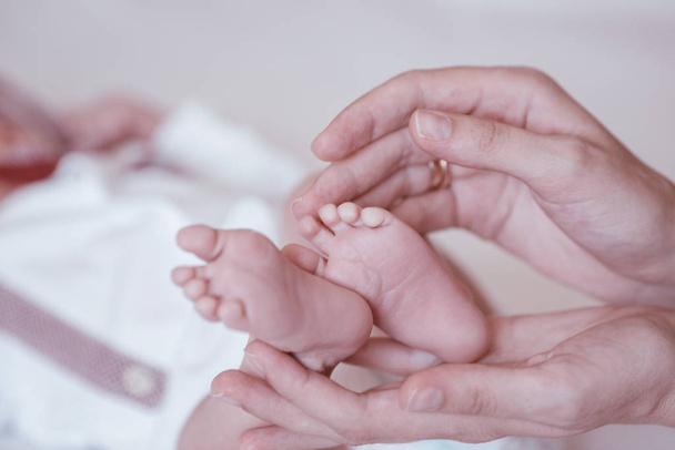 Nohy novorozence na ženských rukou detailní up. - Fotografie, Obrázek