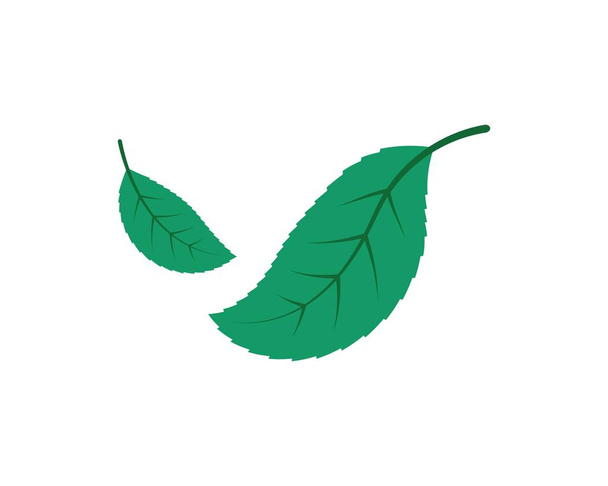 ekologia element ikona liść natura zielony wektor zielony - Wektor, obraz
