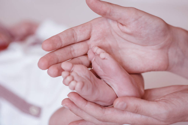 Newborn Baby's feet on female hands closeup. - Foto, immagini