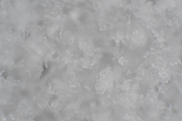 A textura da primeira neve de inverno no parque
 - Foto, Imagem