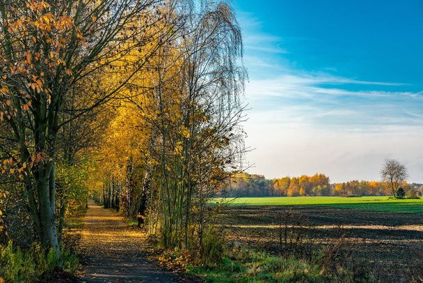The historical Mauerweg path in Berlin Frohnau on a bright sunny - Photo, image
