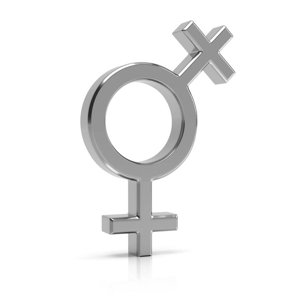 Lesbický symbol 3d vykreslení. Stříbrný lesbický symbol izolovaný na bílém - Fotografie, Obrázek