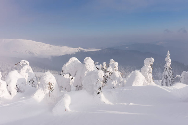Fantastic winter landscape - Fotó, kép
