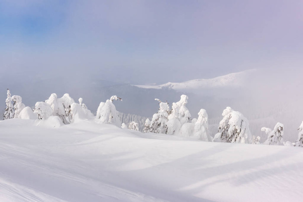 Fantastic winter landscape - Фото, изображение