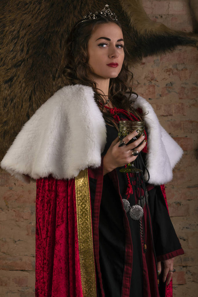 Beautiful young woman in medieval dress with crown at the wall background. Fairytale fantasy scene. Dungeon - Photo, Image