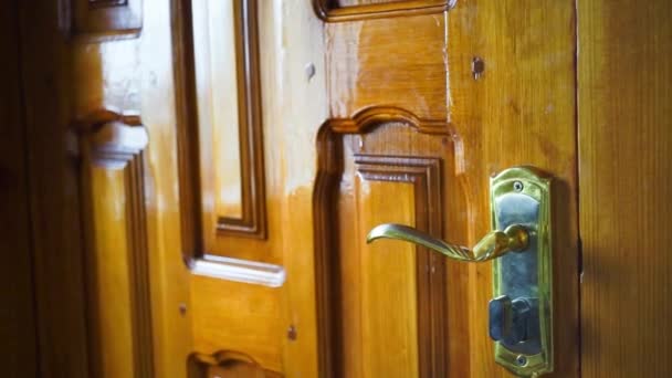 Brązowe drewniane drzwi panelowe ze złotą rączką, bliska recenzja. - Materiał filmowy, wideo