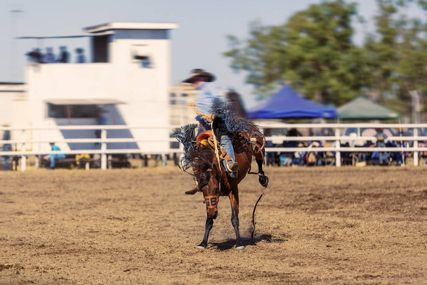 Cowboy cavalcare un cavallo di bronzo Bucking
 - Foto, immagini