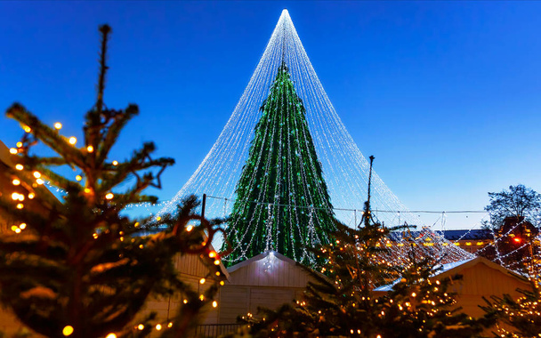Vánoční stromek se závojem girlandy instalované ve Vilniusu reflex - Fotografie, Obrázek