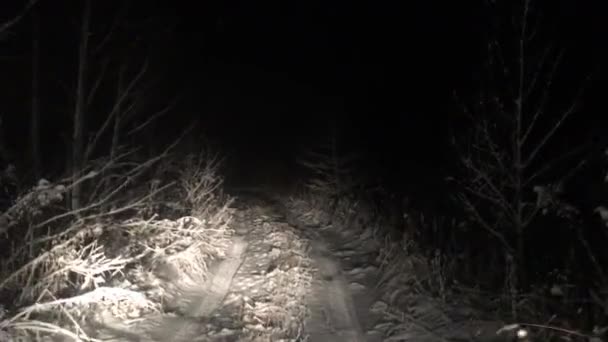 Spooky winter road in the forest at night. Way on a snowy wild road. - Felvétel, videó