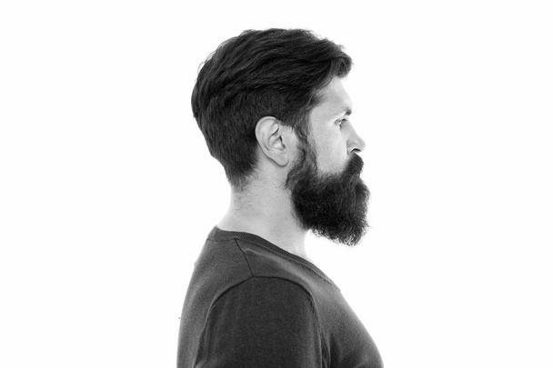 Making his beard perfect. mature bearded man profile. hipster with moustache and beard. hipster after barbershop. male fashion and beauty. beard hair care. brutal man isolated on white background - Фото, изображение