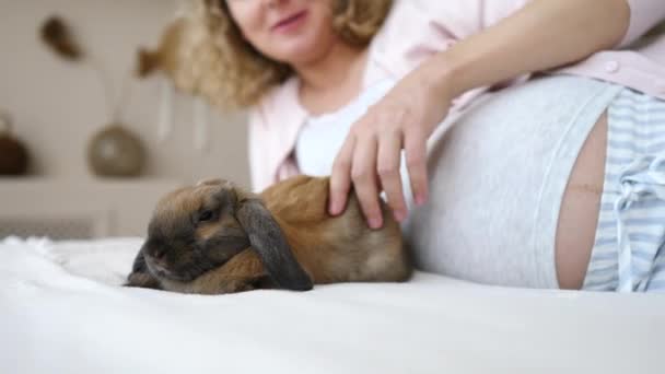 Pregnant Woman Lying On Bed With Rabbit. - Filmati, video