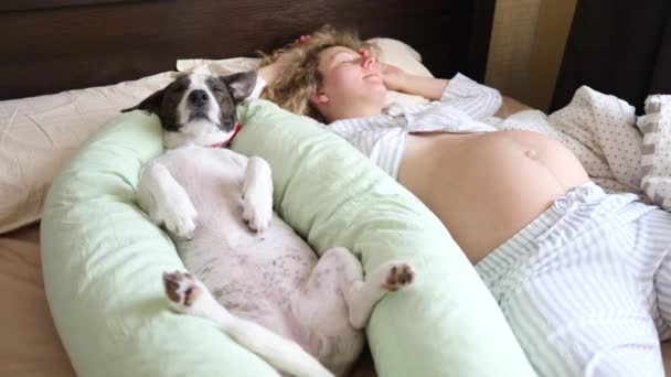 Young Pregnant Woman And Her Dog Sleeping In Bed With Maternity Pillow - Filmati, video