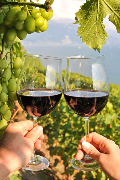 Two hands holding wineglases against vineyards in Lavaux region - Photo, Image