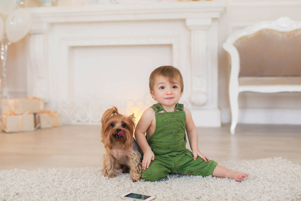 Chłopiec siedzi na dywanie na podłodze, a obok niego psia zabawka Terrier. - Zdjęcie, obraz