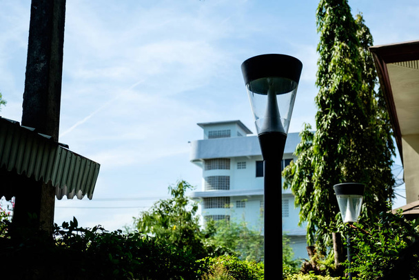 Poteau lumineux gros plan avec scène de verdure
 - Photo, image