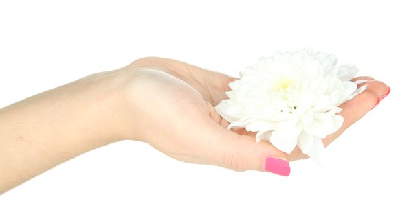 Beautiful white flower in women hand isolated on white - Photo, image
