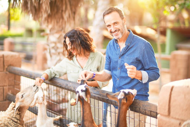Schönes Paar mittleren Alters, das glücklich und selbstbewusst im Stadtpark lächelt. Mit einem Lächeln auf dem Gesicht stehen und Ziegen schmusen - Foto, Bild