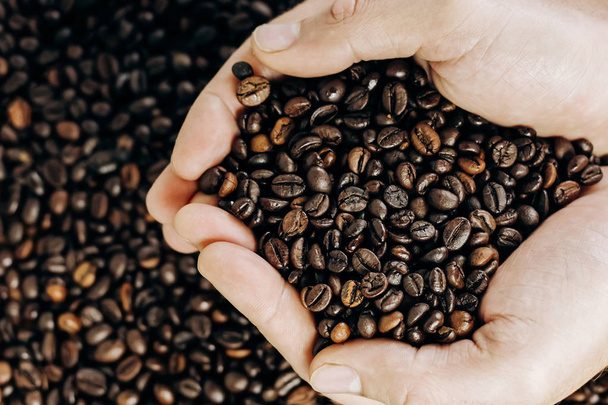 a lot of coffee beans on a wooden background. man holds coffee in the palms - Photo, Image