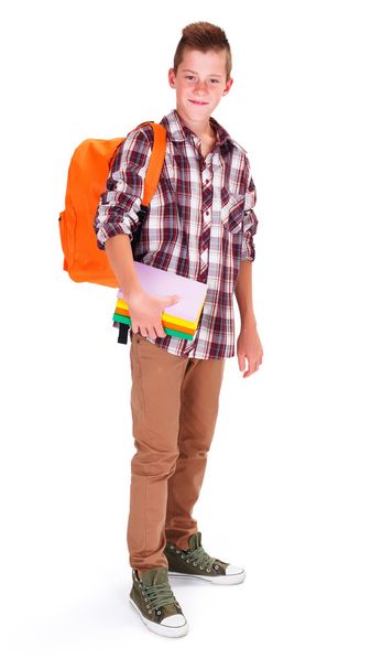 Schoolboy with books - Φωτογραφία, εικόνα