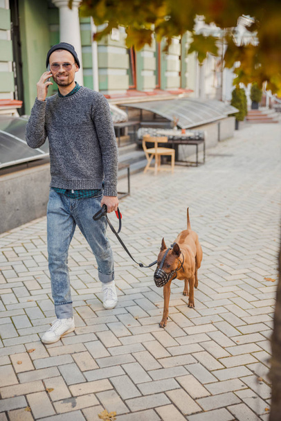 Owner walking the dog and talking on the phone stock photo - Photo, image
