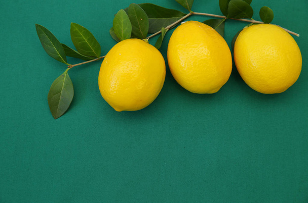 Saftige Zitronen auf einem Zweig mit grünen Blättern auf grünem Hintergrund. Bio-Früchte für eine gesunde Ernährung. mit Kopierraum für Text. flach lag. Ansicht von oben. - Foto, Bild