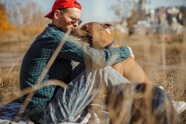 Owner taking care of dog and spending time with him stock photo - Фото, зображення