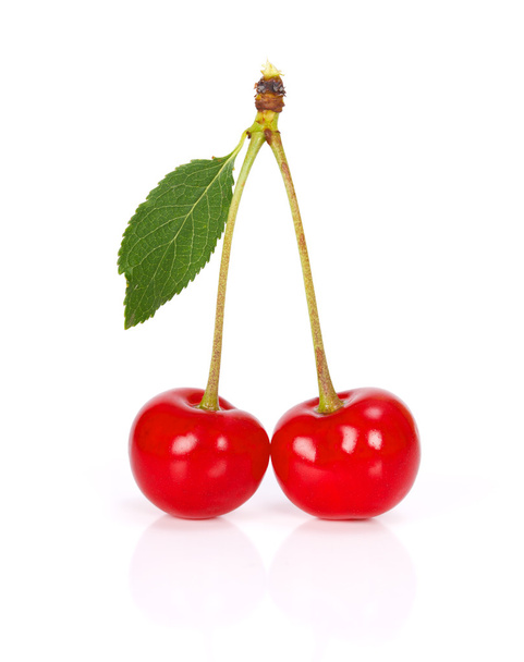 Sour cherry - Фото, изображение