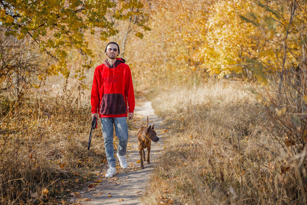 Calm man walking with dog in beautiful forest stock photo - Photo, image