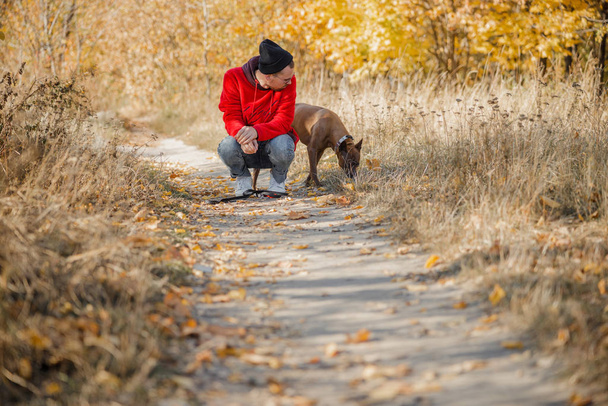 Dog smelling the grass and man looking at him stock photo - 写真・画像