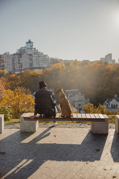 Owner enjoying sunny day with dog in the park stock photo - Foto, Bild