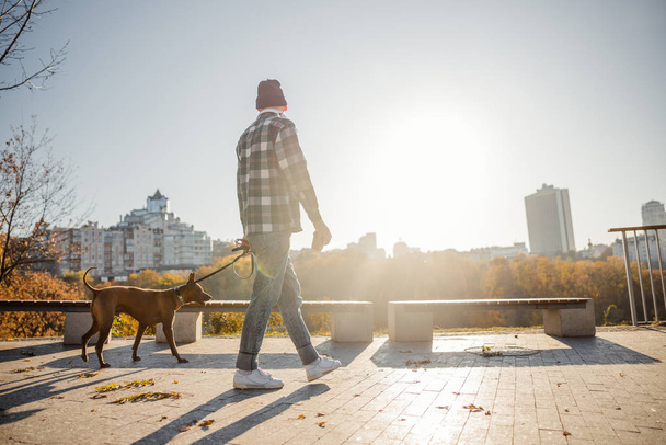 Perfect sunny day for long walk with pet stock photo - Photo, Image
