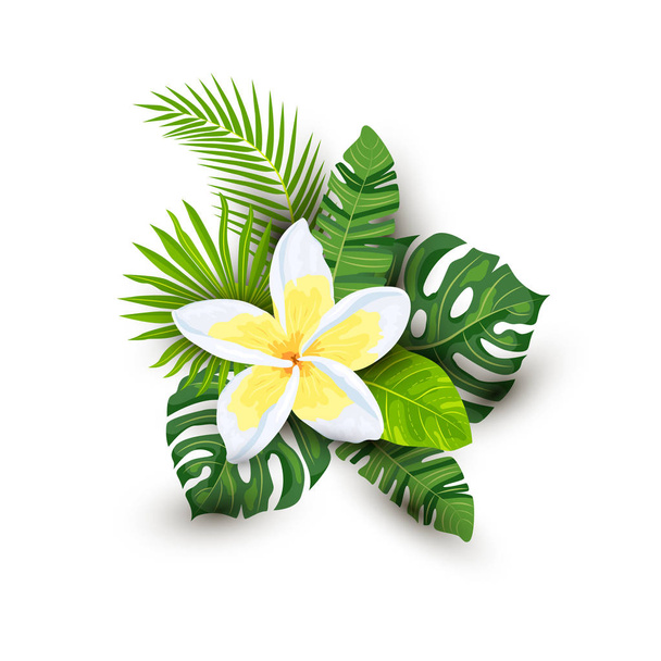 Tropical exotic leaves and plumeria flower with shadows, vector illustration isolated on white background. Design element for poster, web, flyers, invitation, postcard, SPA, sticker, wedding. - Vector, Image